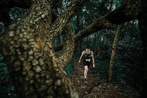 BIB: 
                            <button type="button" onclick="openModal(25695850)" class="btn btn-primary btn-sm float-right btn-popup" data-toggle="modal" data-target=".modal-high-quality">
                        <i class="fas fa-shopping-cart"></i> Add to Cart
                    </button>
                                            <button type="button" onclick="isThisMe(25695850, true)" class="btn btn-success btn-sm float-right btn-popup btn-isme hidden" data-toggle="tooltip" data-placement="bottom" title="นี่คือรูปของคุณใช่ไหม คลิกที่นี่เพื่อเอาเข้าอัลบั้ม">
                        <i class="fas fa-plus"></i> Add to album
                    </button>
                    <button type="button" onclick="isThisMe(25695850, false)" class="btn btn-warning btn-sm float-right btn-popup btn-isnotme hidden">
                        <i class="fas fa-ban"></i> Remove from album
                    </button>